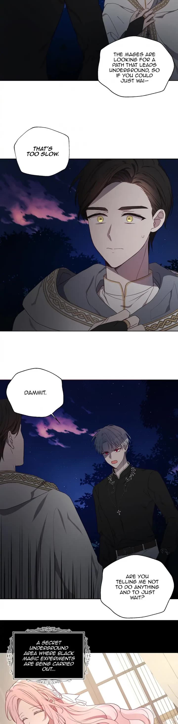 Seduce the Villain's Father Chapter 113 page 15 - Chapter 113: Nothing Else Matters