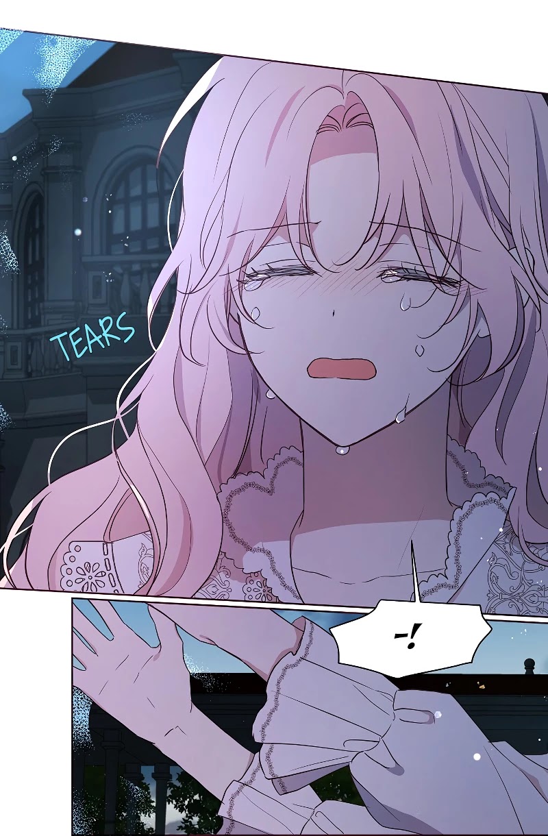 Seduce the Villain's Father Chapter 40 page 43 - Chapter 40