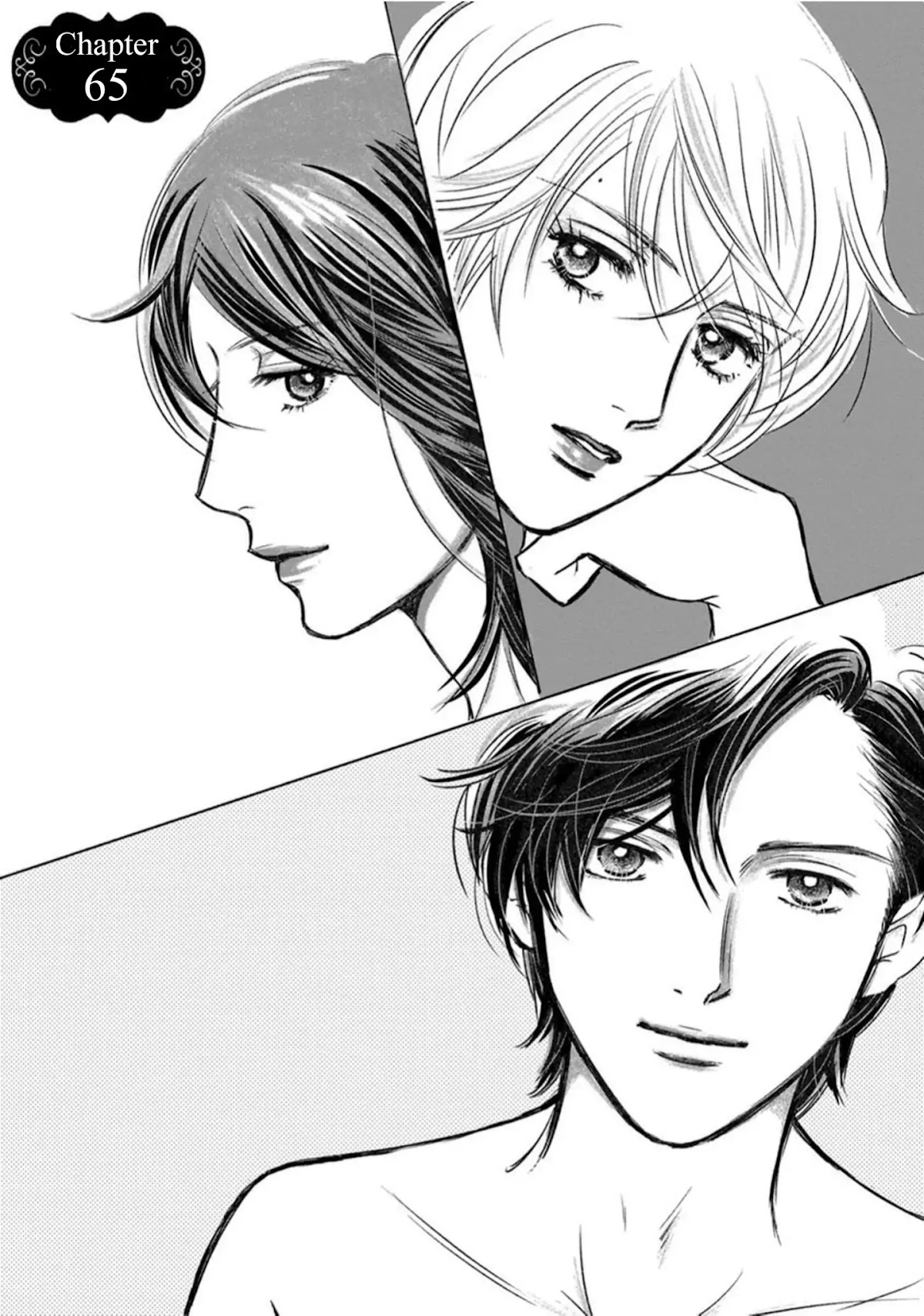 Sefure no Hinkaku Chapter 65 page 5 - Chapter 65