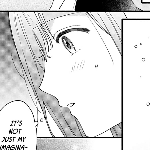 Sei-chan, Your Love Is Too Much! Chapter 38: Cultural Festival cover