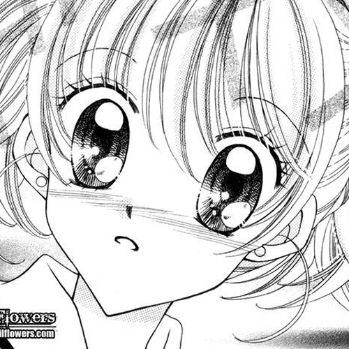 Sei Dragon Girl Miracle Chapter 15 cover