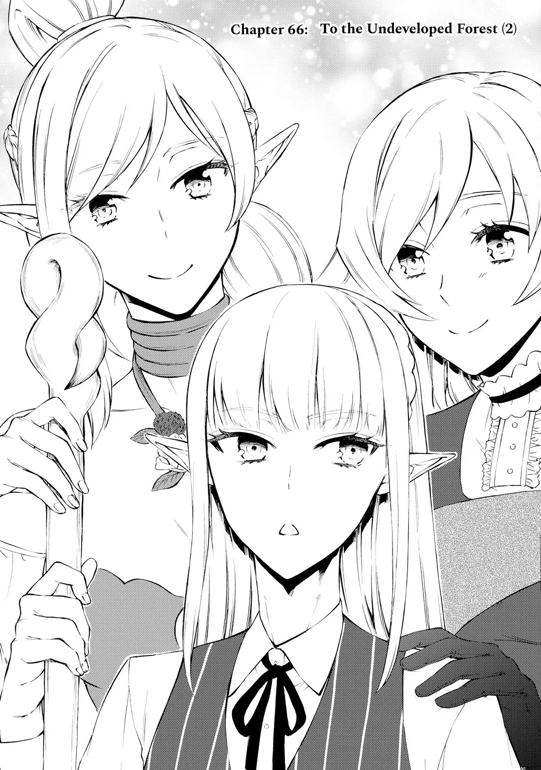 Seija Musou: Salaryman, Isekai de Ikinokoru Tame ni Ayumu Michi Chapter 66 page 1 - Chapter 66