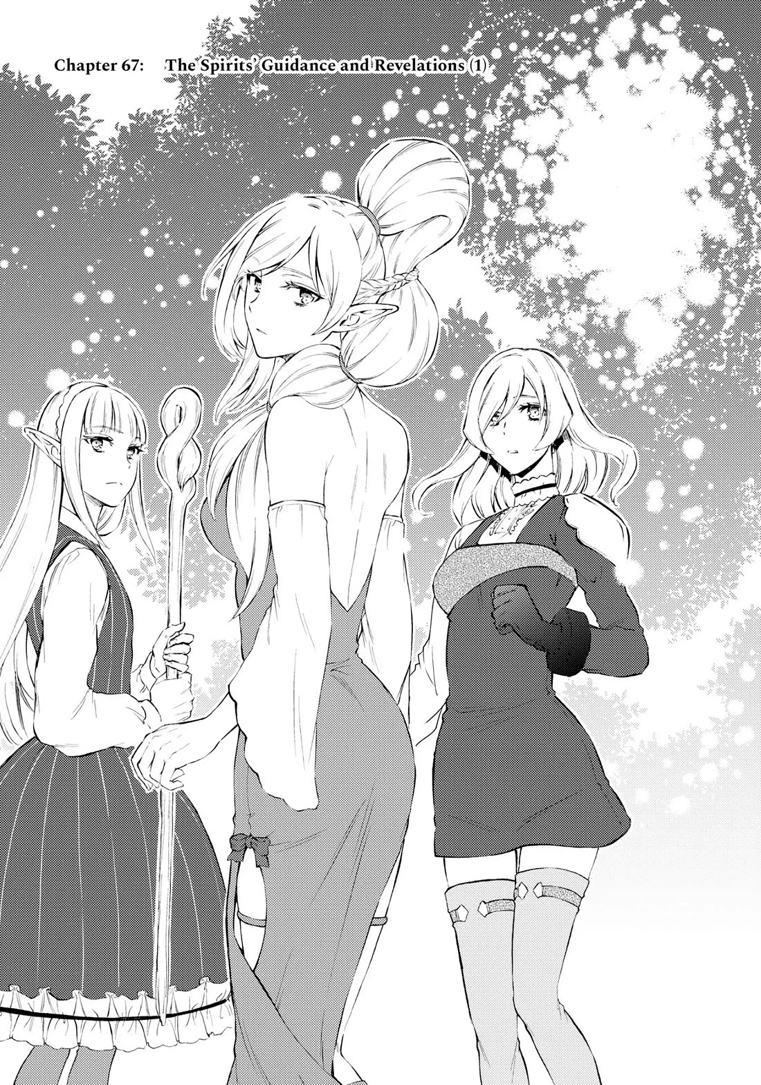 Seija Musou: Salaryman, Isekai de Ikinokoru Tame ni Ayumu Michi Chapter 67 page 2 - Chapter 67