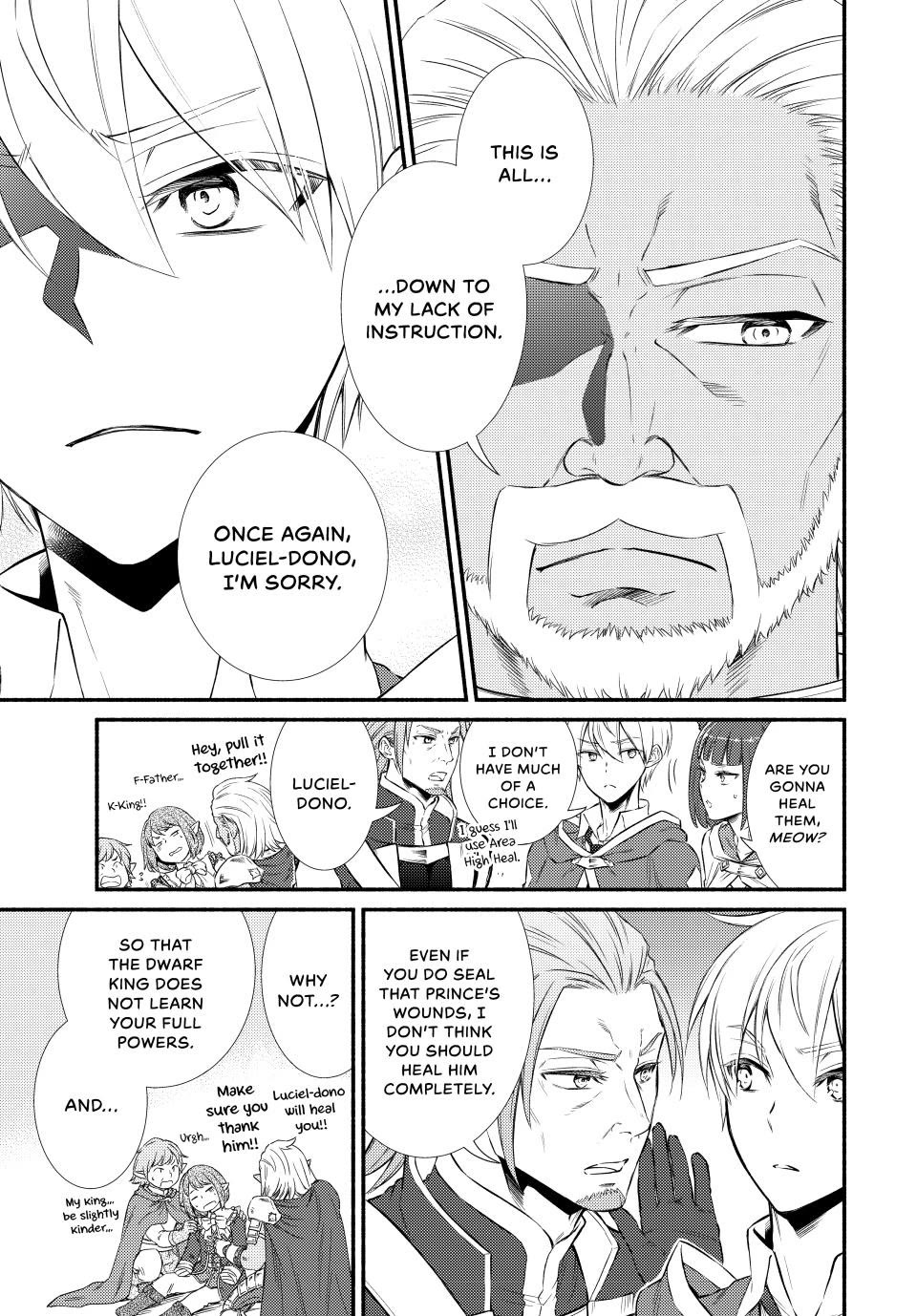 Seija Musou: Salaryman, Isekai de Ikinokoru Tame ni Ayumu Michi Chapter 95 page 17 - Chapter 95