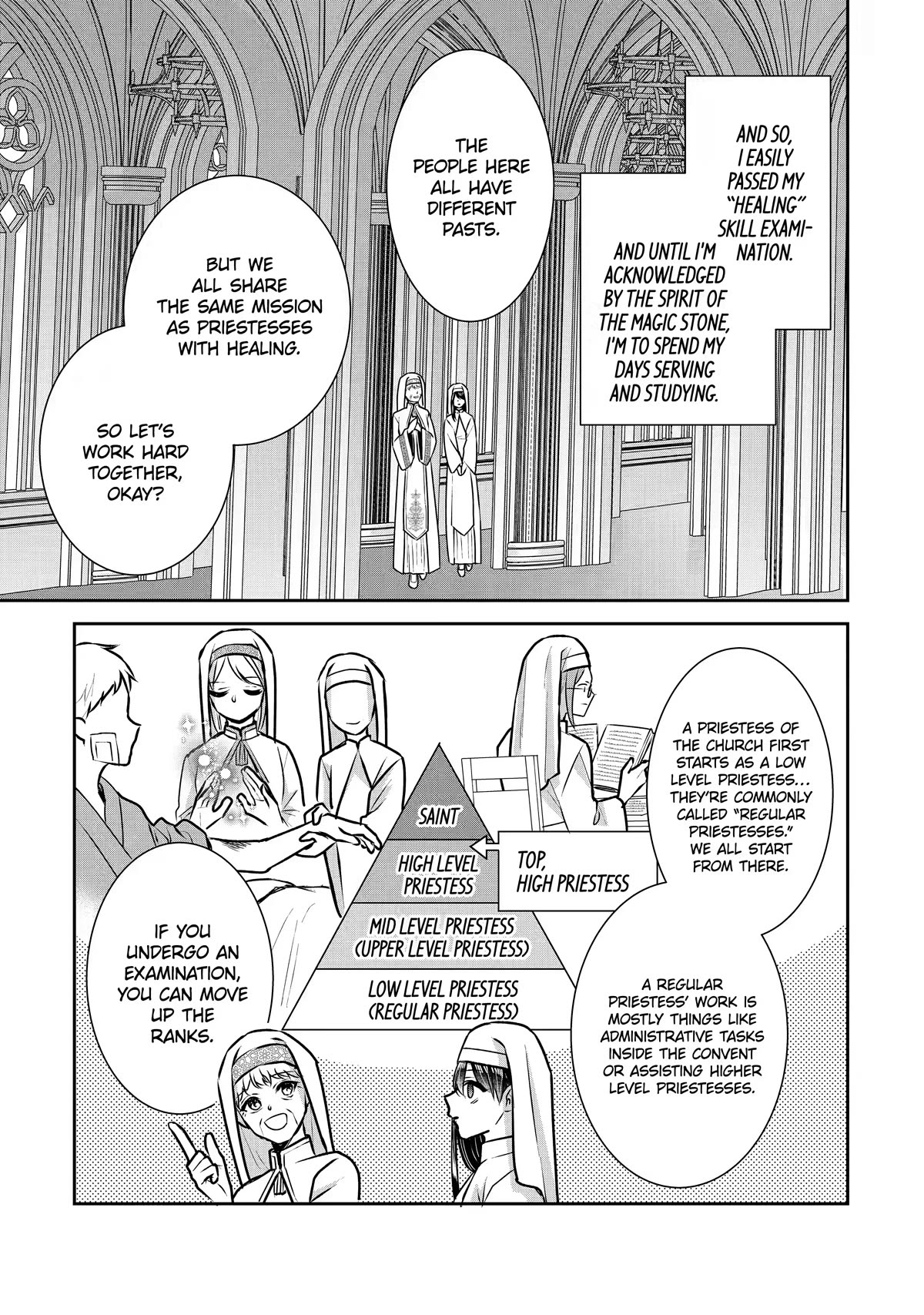 Seijo no Hazu ga, Douyara Nottoraremashita Chapter 19 page 7 - Chapter 19