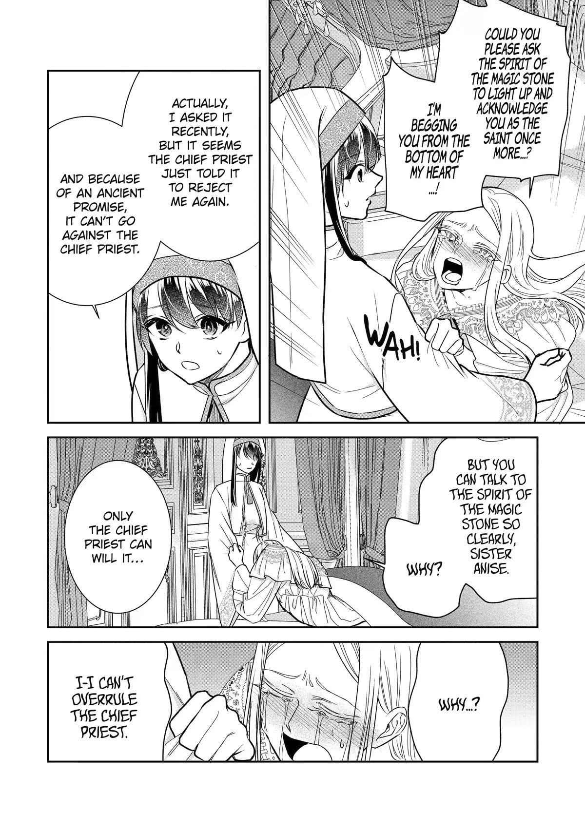 Seijo no Hazu ga, Douyara Nottoraremashita Chapter 22 page 28 - Chapter 22