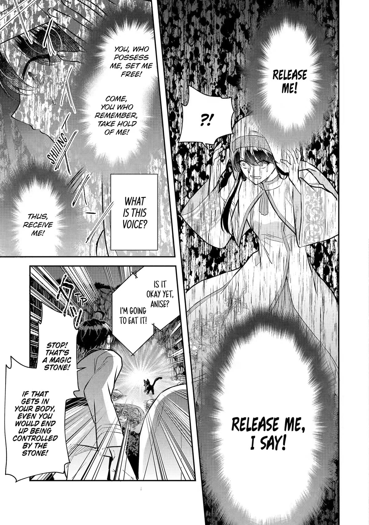 Seijo no Hazu ga, Douyara Nottoraremashita Chapter 25 page 13 - Chapter 25