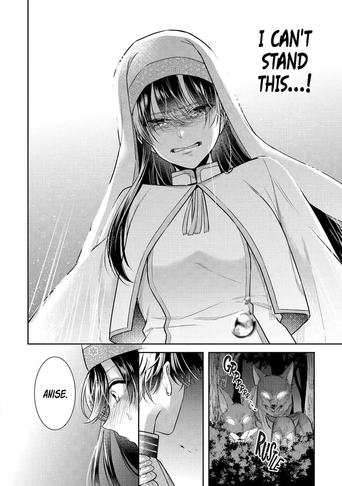 Seijo no Hazu ga, Douyara Nottoraremashita Chapter 25 page 26 - Chapter 25