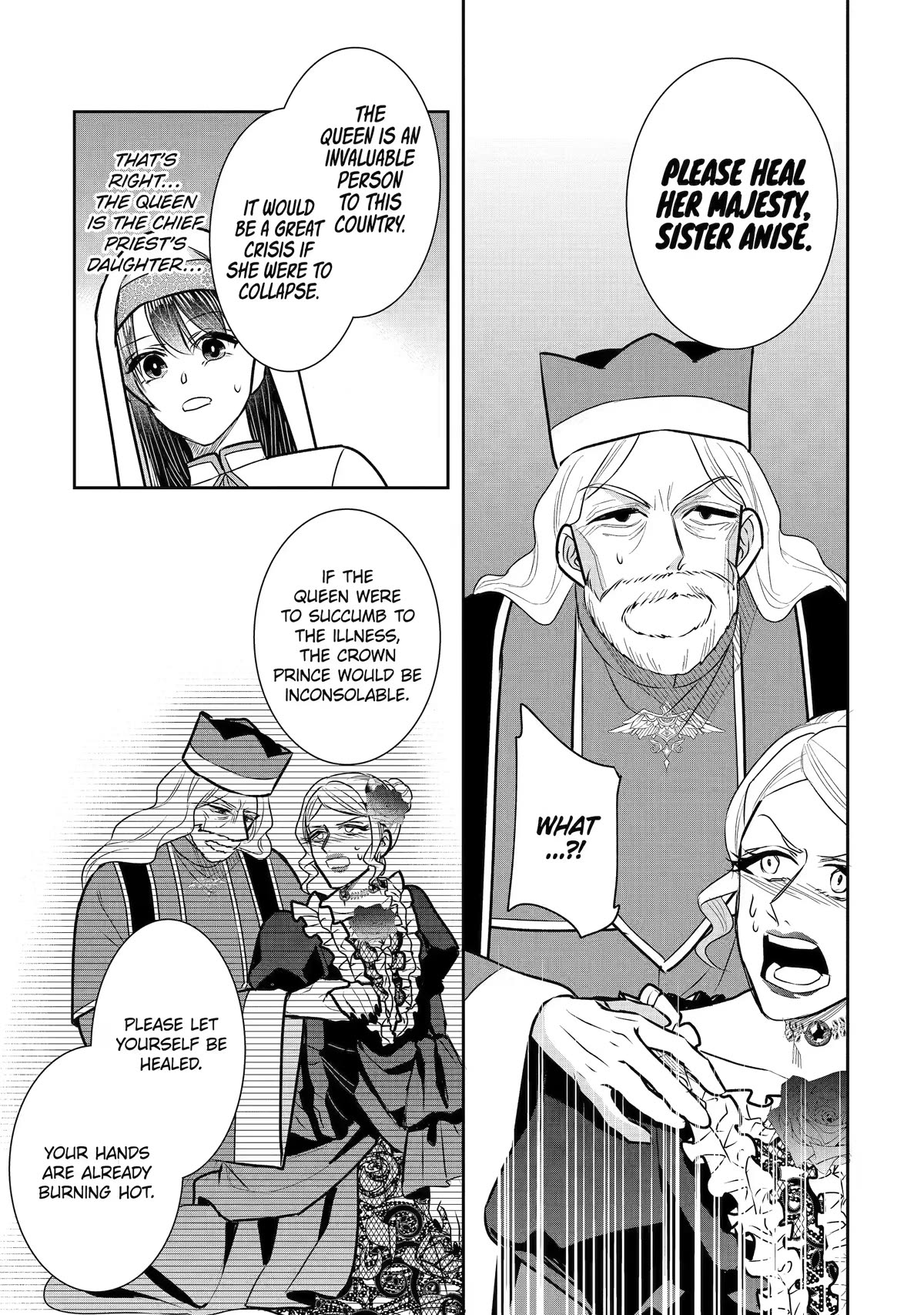 Seijo no Hazu ga, Douyara Nottoraremashita Chapter 27 page 14 - Chapter 27