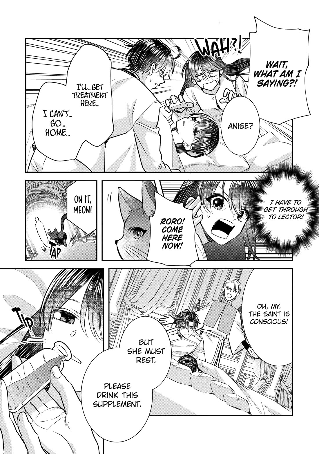 Seijo no Hazu ga, Douyara Nottoraremashita Chapter 31 page 27 - Chapter 31