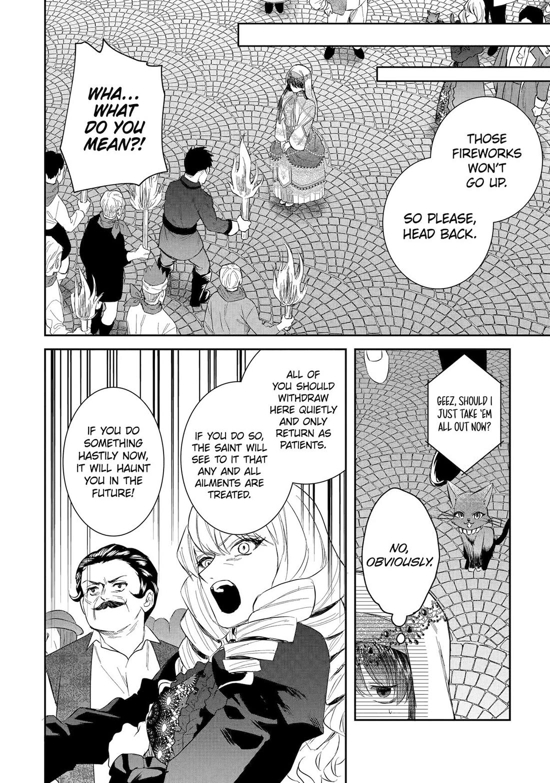 Seijo no Hazu ga, Douyara Nottoraremashita Chapter 51 page 18 - Chapter 51