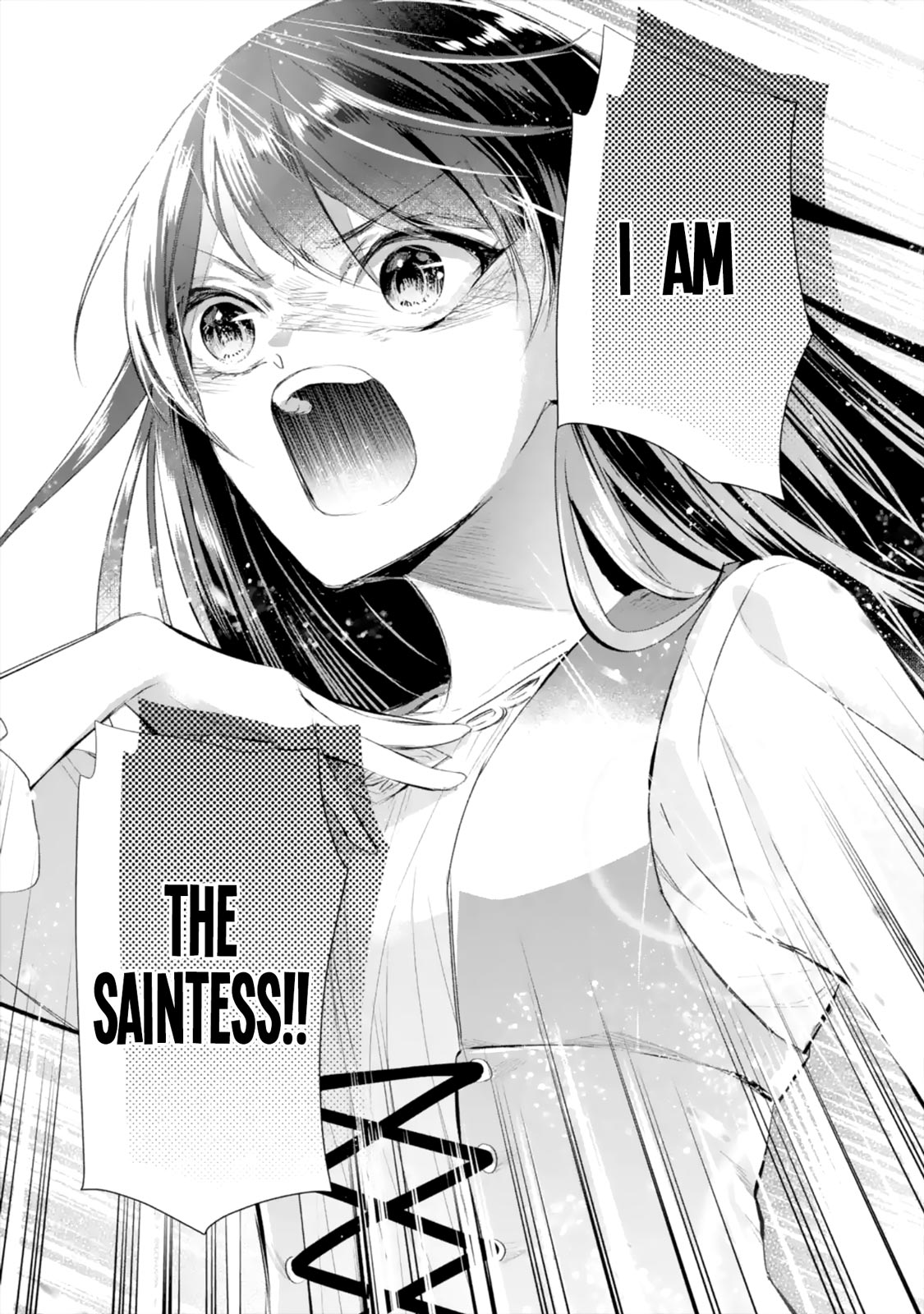 Seijo no Hazu ga, Douyara Nottoraremashita Chapter 6.2 page 14 - Chapter 6.2