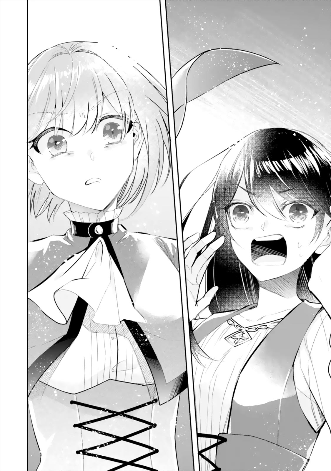 Seijo no Hazu ga, Douyara Nottoraremashita Chapter 6.2 page 5 - Chapter 6.2