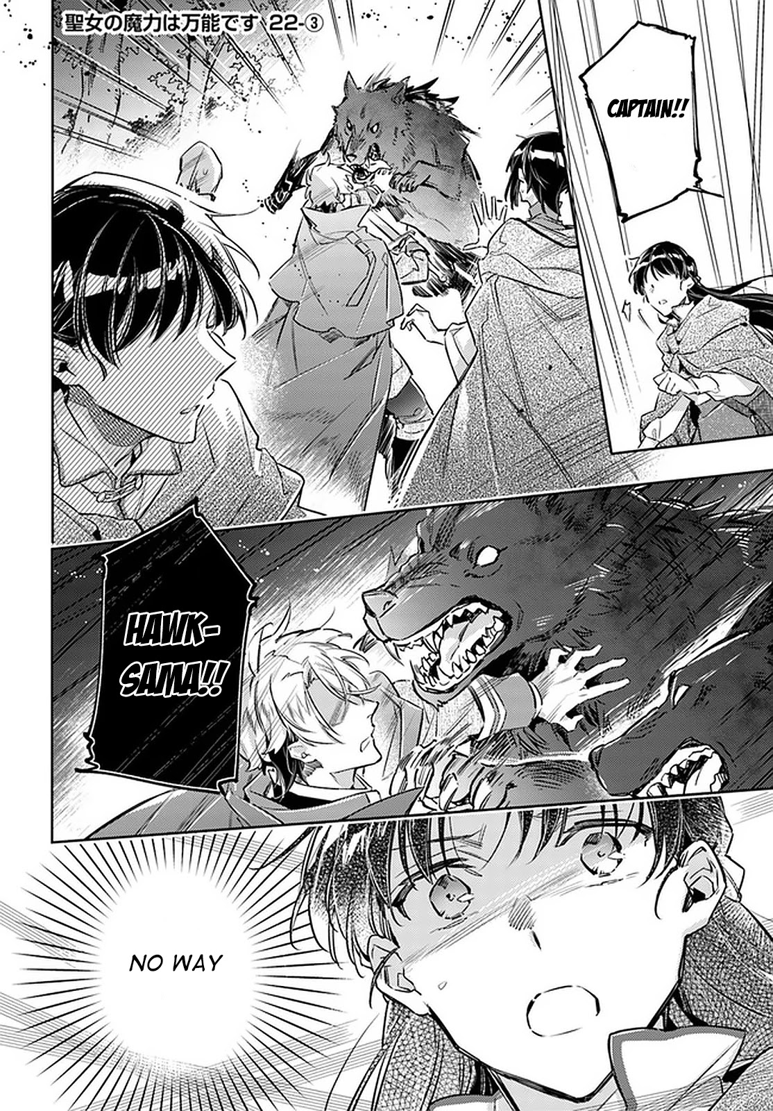 Seijo no Maryoku wa Bannou desu Chapter 22 page 14 - Chapter 22