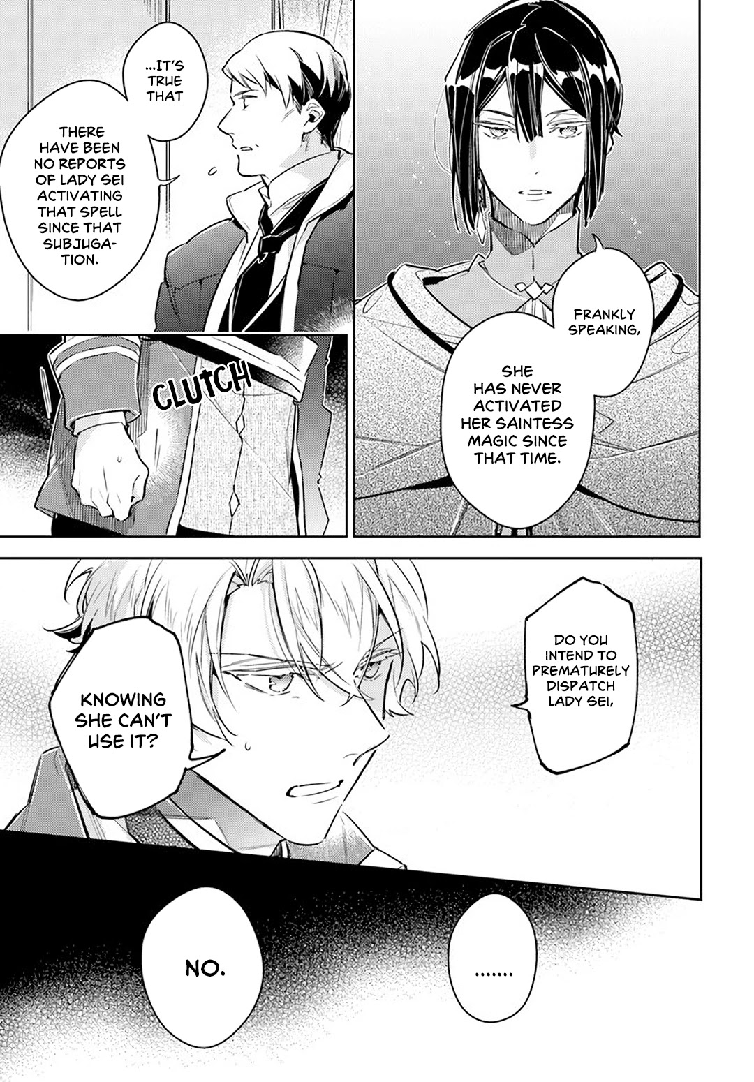 Seijo no Maryoku wa Bannou desu Chapter 25.5 page 5 - Chapter 25.5