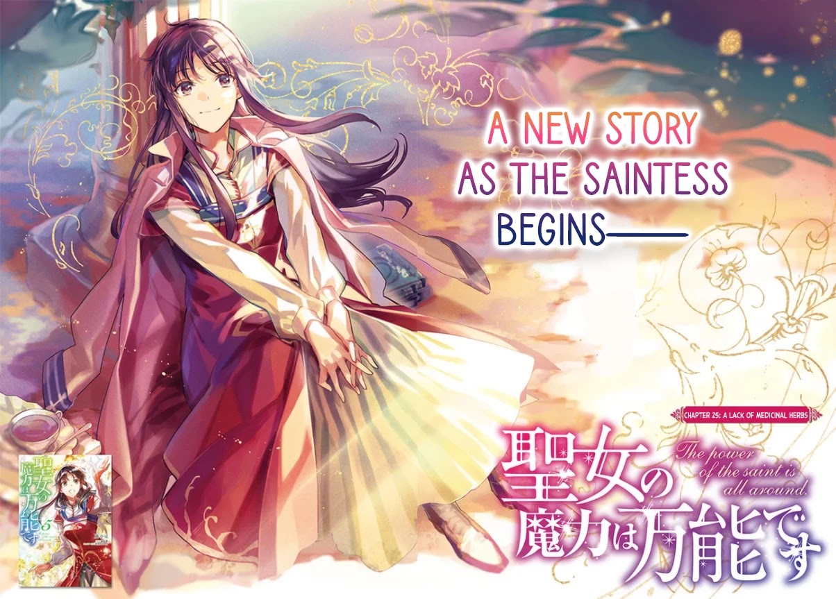 Seijo no Maryoku wa Bannou desu Chapter 25 page 2 - Chapter 25