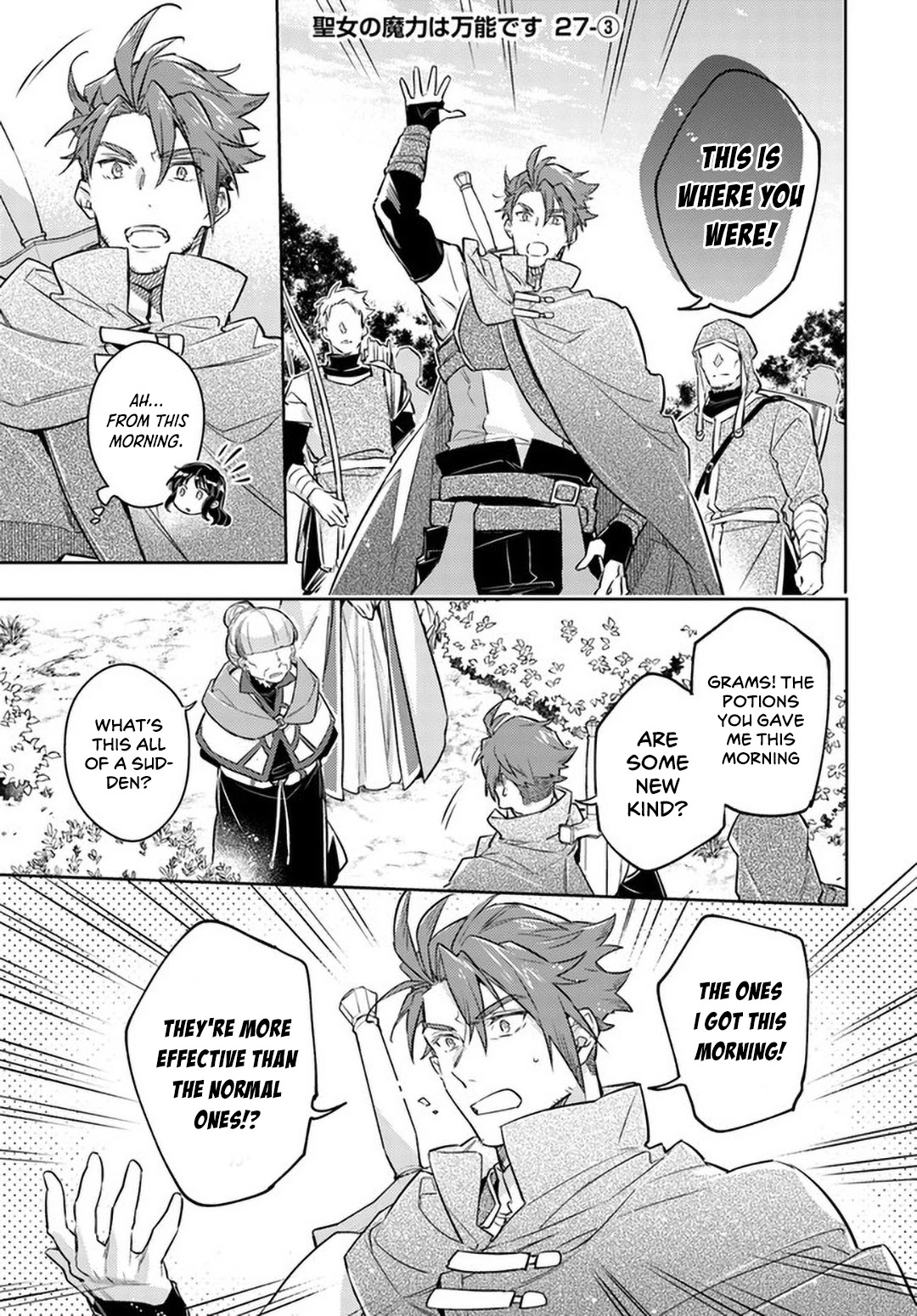 Seijo no Maryoku wa Bannou desu Chapter 27 page 17 - Chapter 27