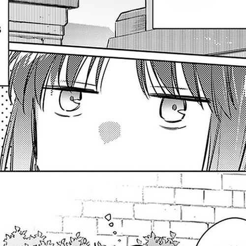 Seijo no Maryoku wa Bannou desu Chapter 29 cover