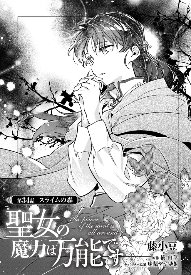Seijo no Maryoku wa Bannou desu Chapter 34 page 3 - Chapter 34: The flower of the saintess is all around