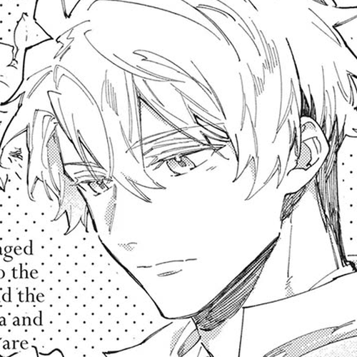 Seijo no Maryoku wa Bannou desu Chapter 43.5: The Saint's Level cover