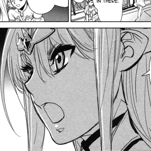 Seikai no Monshou (YONEMURA Kouichirou) Chapter 10 cover