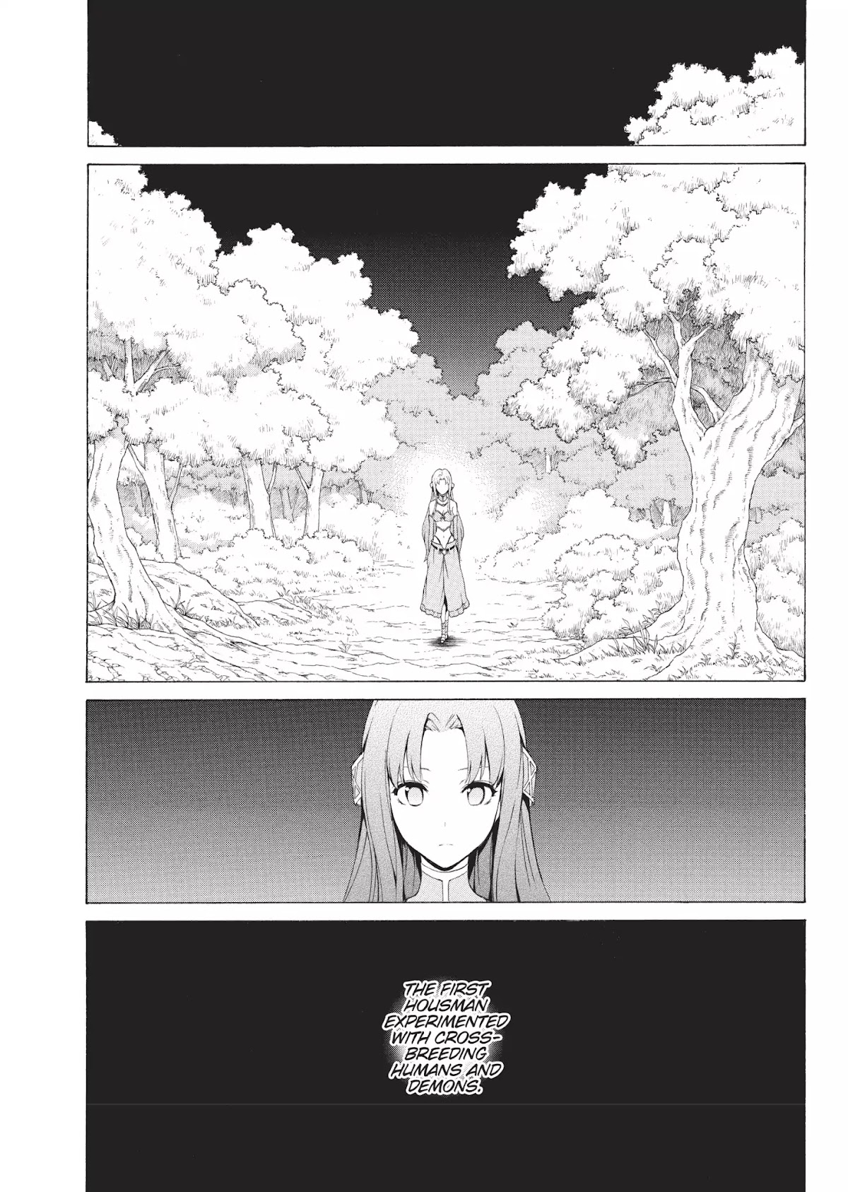 Seiken no Katanakaji Chapter 33 page 25 - Chapter 33: No Gift