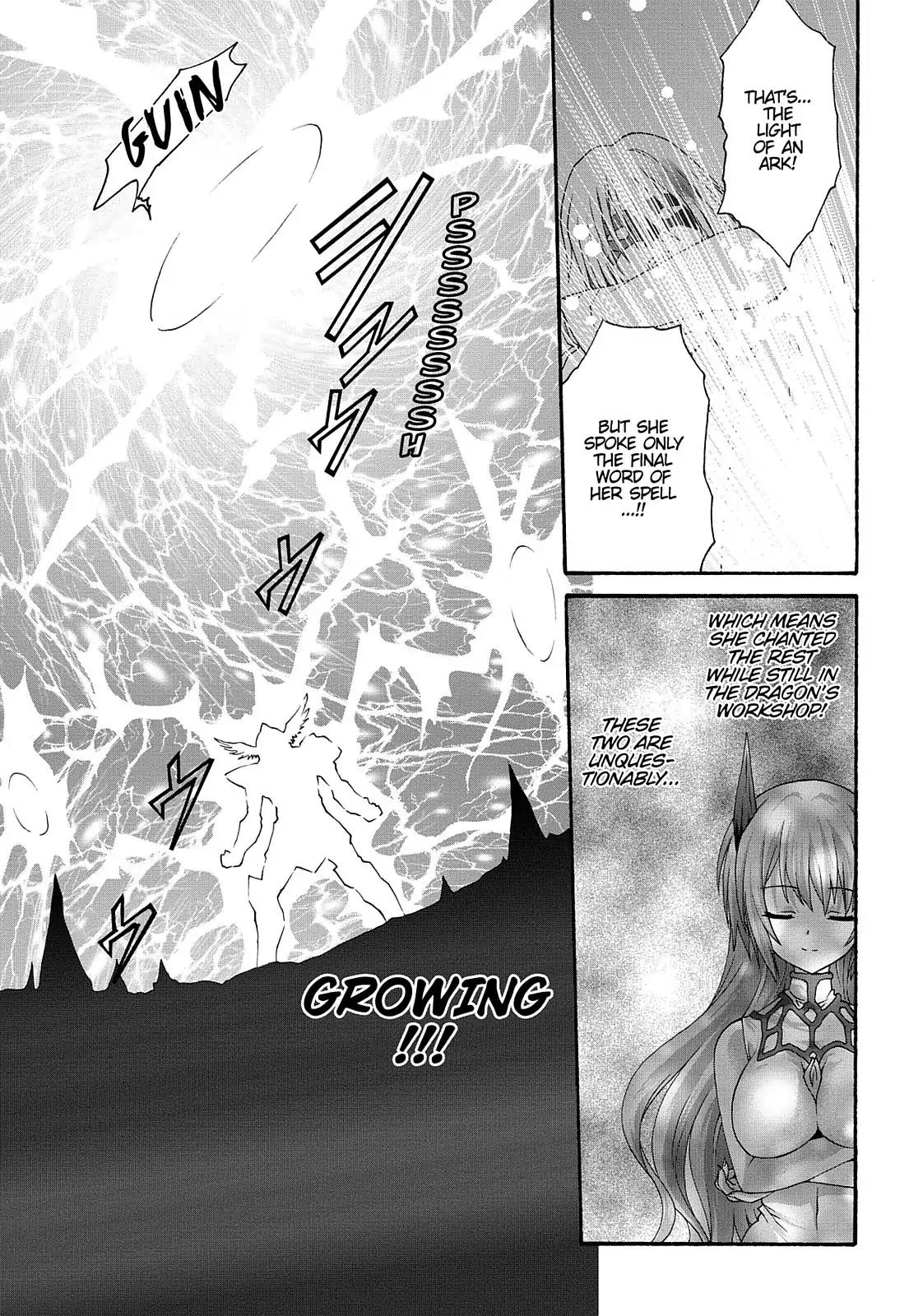 Seikoku no Ryuu Kishi Chapter 22 page 17 - Chapter 22: An Impenetrable Shield