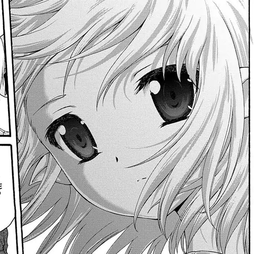 Seikoku no Ryuu Kishi Chapter 23: The Maestro that Dances In the Night Sky cover