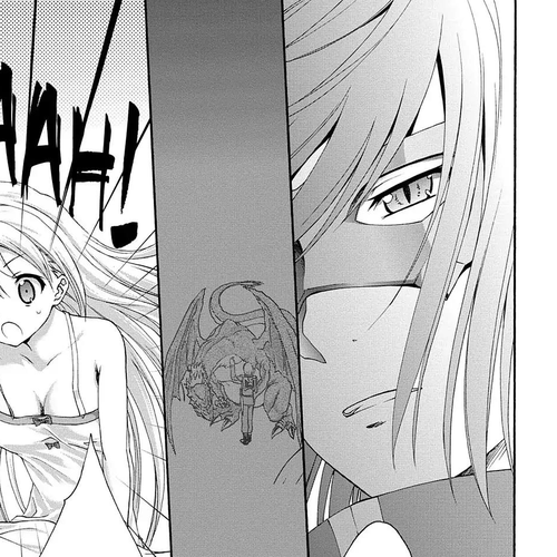 Seikoku no Ryuu Kishi Chapter 27: Conspiracy Aboard the Beowulf cover
