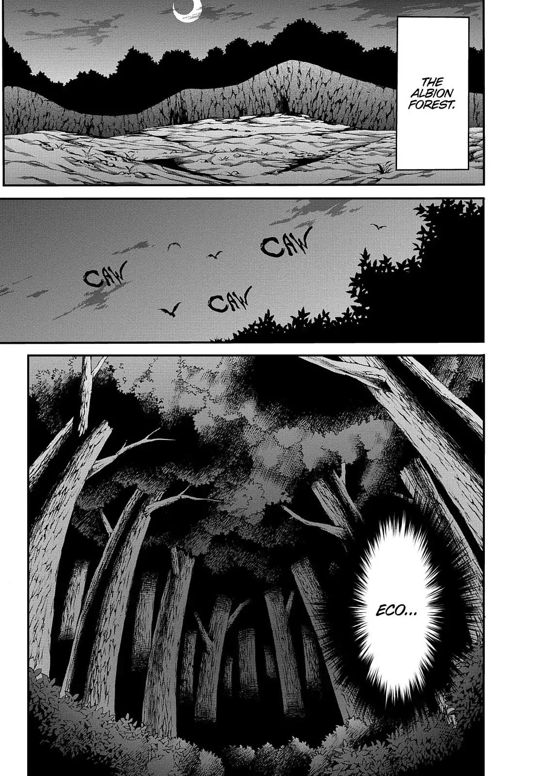 Seikoku no Ryuu Kishi Chapter 35 page 45 - Chapter 35: Mirabelle's Arrival