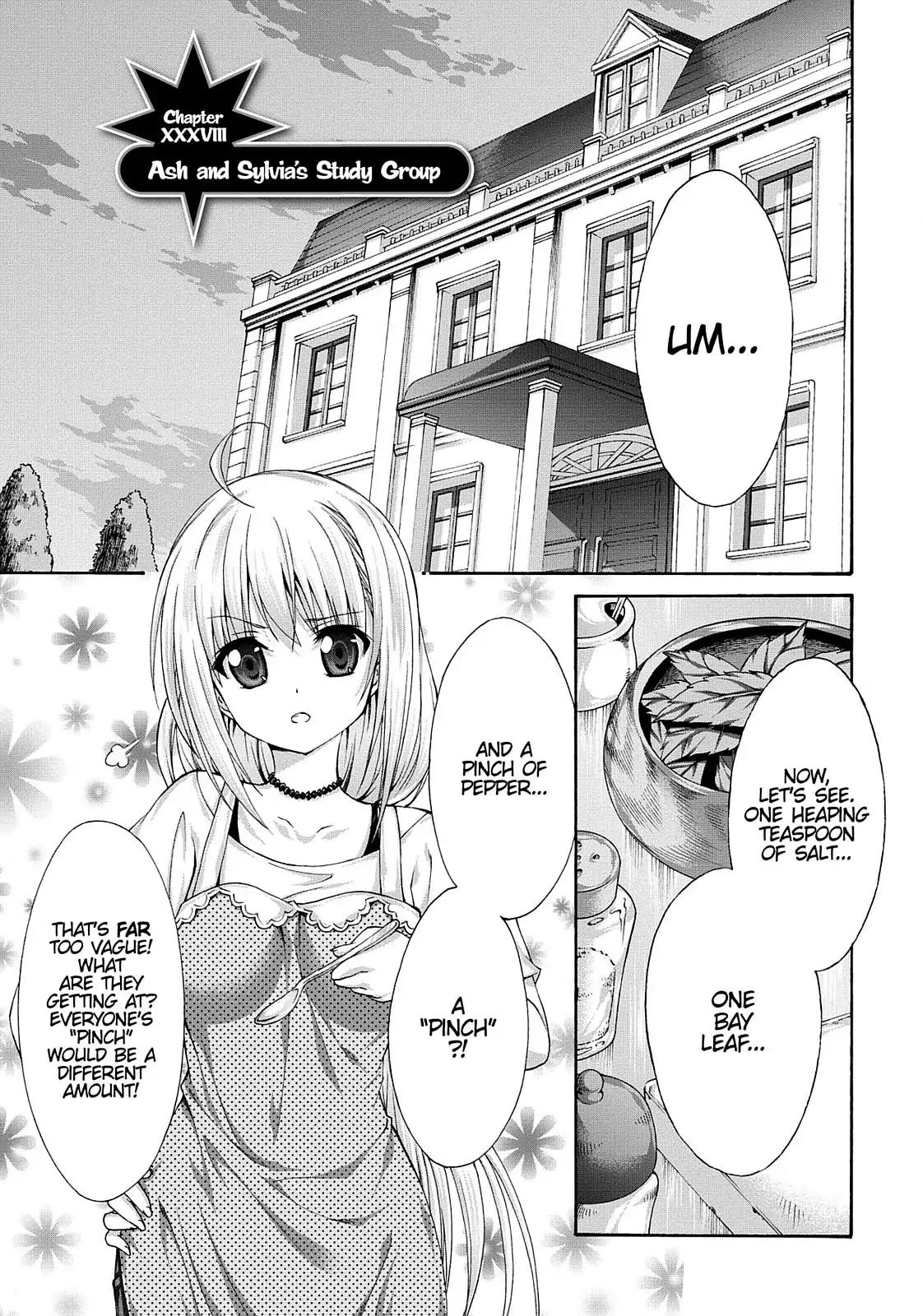 Seikoku no Ryuu Kishi Chapter 38 page 1 - Chapter 38: Ash and Sylvia's Study Group