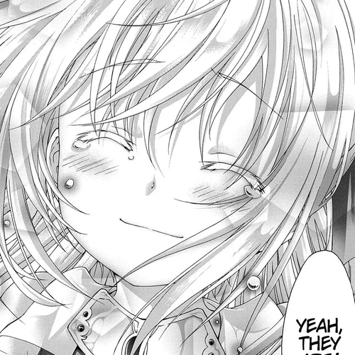Seikoku no Ryuu Kishi Chapter 42: Ash's Memories: Part 2 cover