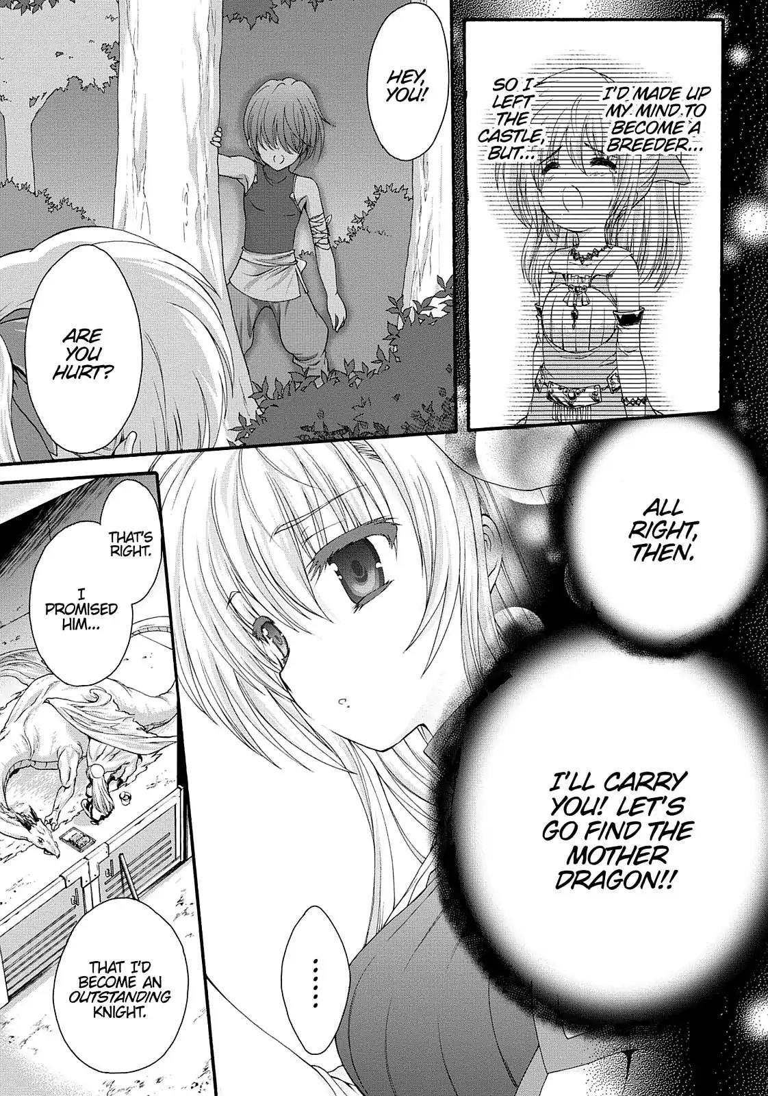 Seikoku no Ryuu Kishi Chapter 5 page 3 - Chapter 5: The Ark of the Scarlet Empress