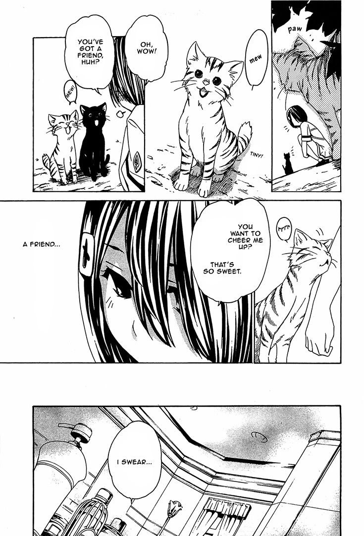 Seikon no Qwaser Chapter 51 page 7 - Chapter 51 : The Beautiful Challenger