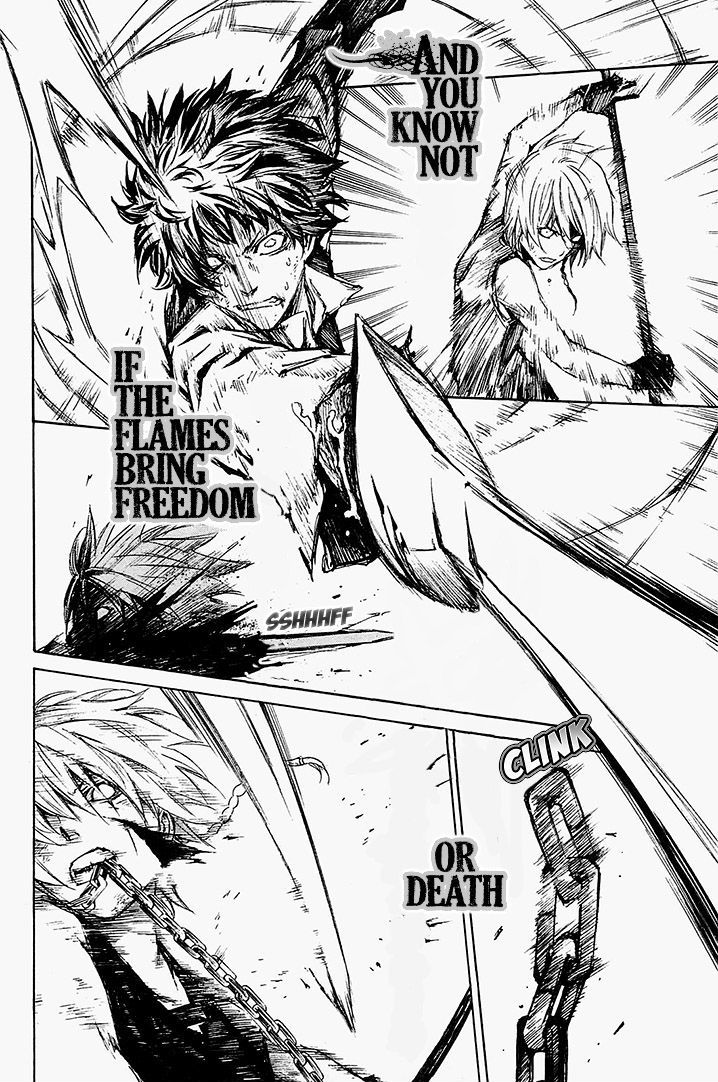 Seikon no Qwaser Chapter 60 page 14 - Chapter 60 : Ashes and Diamonds