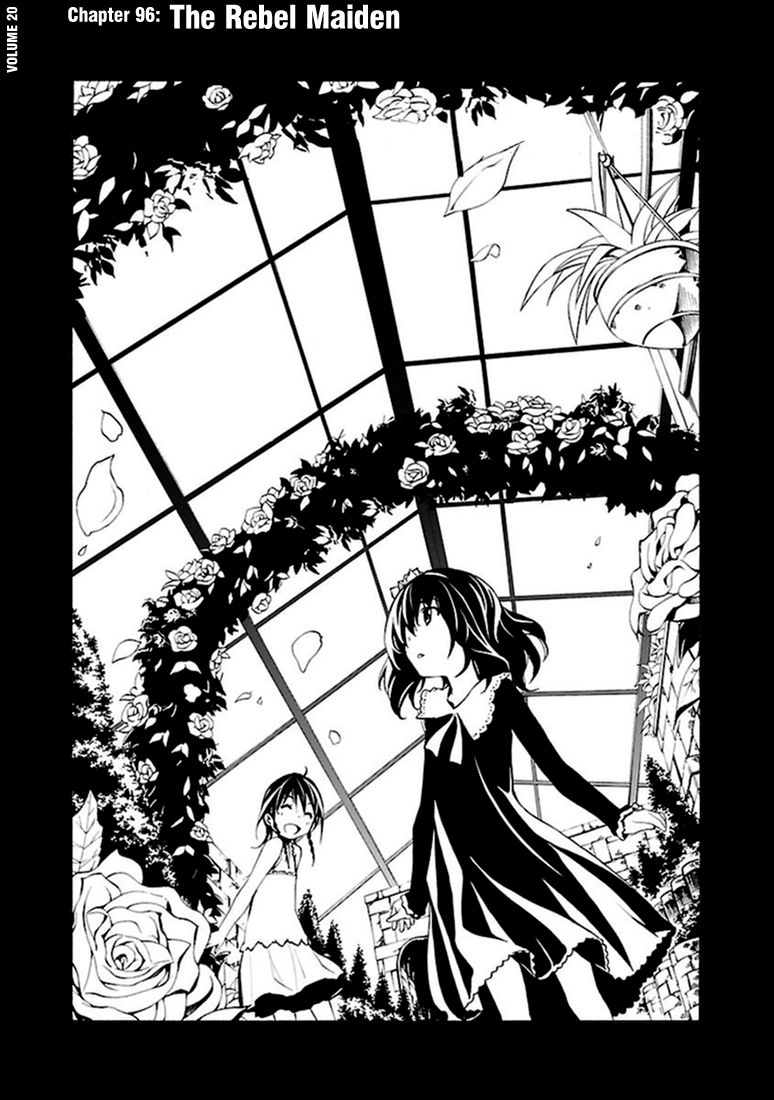 Seikon no Qwaser Chapter 96 page 2 - Chapter 96 : The Rebel Maiden