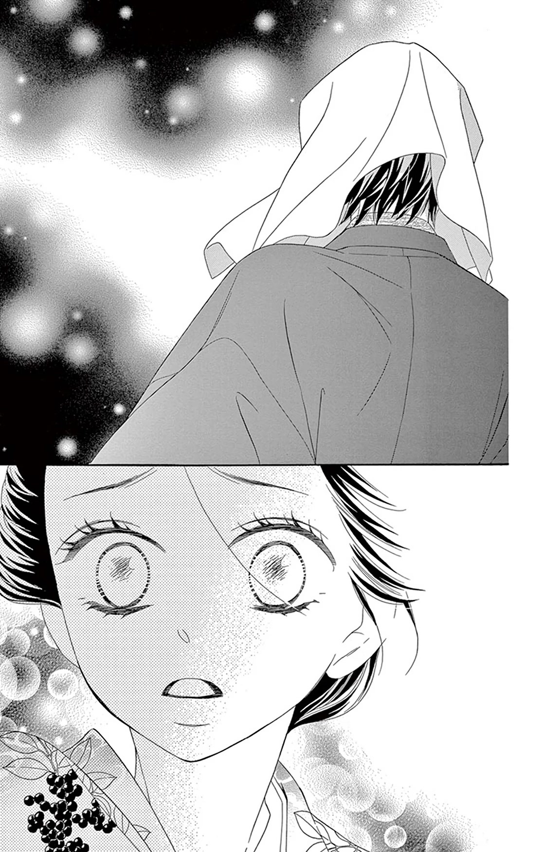 Seirou Opera Chapter 20 page 33 - Chapter 20