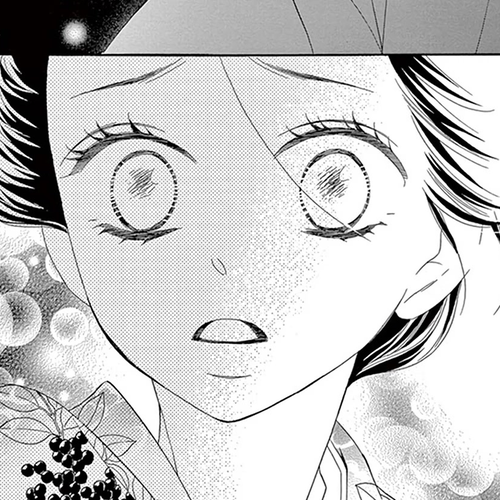 Seirou Opera Chapter 20 cover