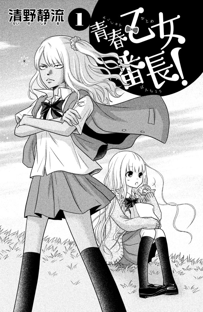 Seishun Otome Banchou! Chapter 0 page 3 - Chapter 0