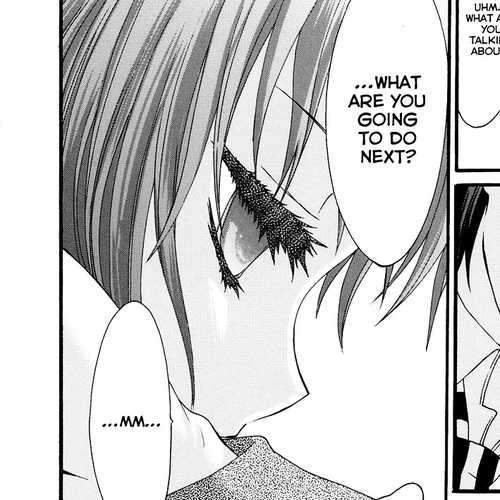 Seitokai Tantei Kirika Chapter 19 : File 19: Idol cover