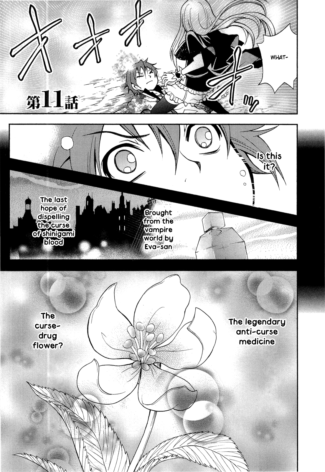 Sekai de Ichiban Tadashii Kyuuketsuki no Kaikata Chapter 11 page 1 - Chapter 11 [END]