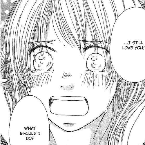 Sekai wa Happy de Dekiteiru Chapter 2: A rumor and a Picture cover