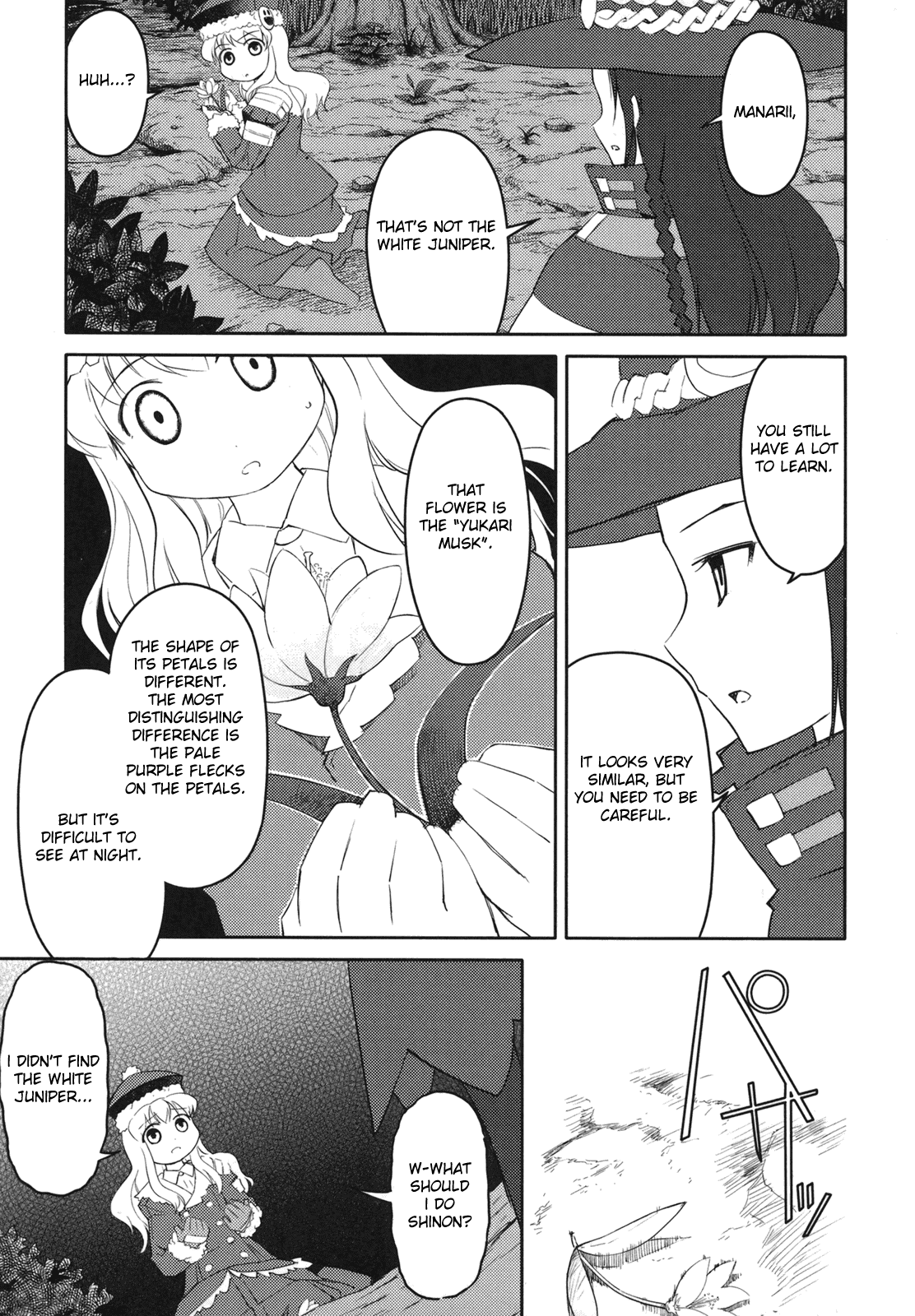 Sekaiju no Meikyuu II ~Rikka no Shoujo~ Chapter 3 page 27 - Chapter 3: A promise