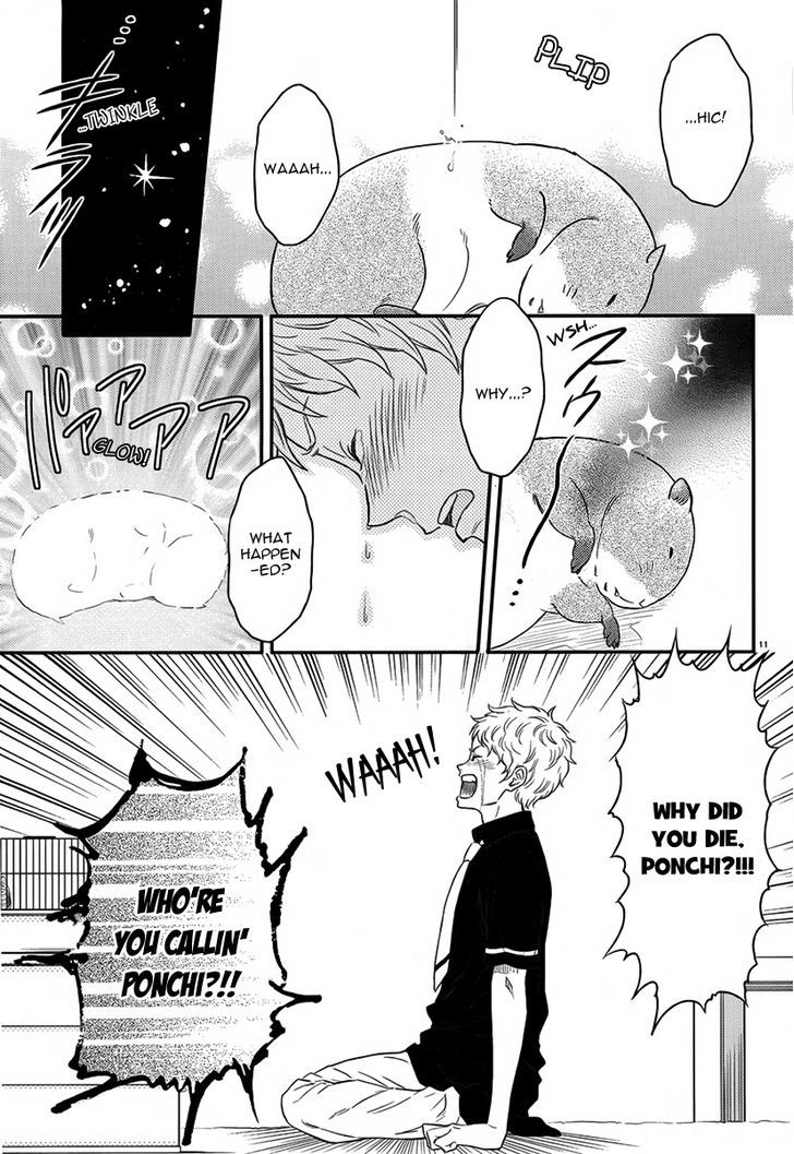 Sekimen Danshi Makkasa Chapter 0 page 12 - Chapter 0