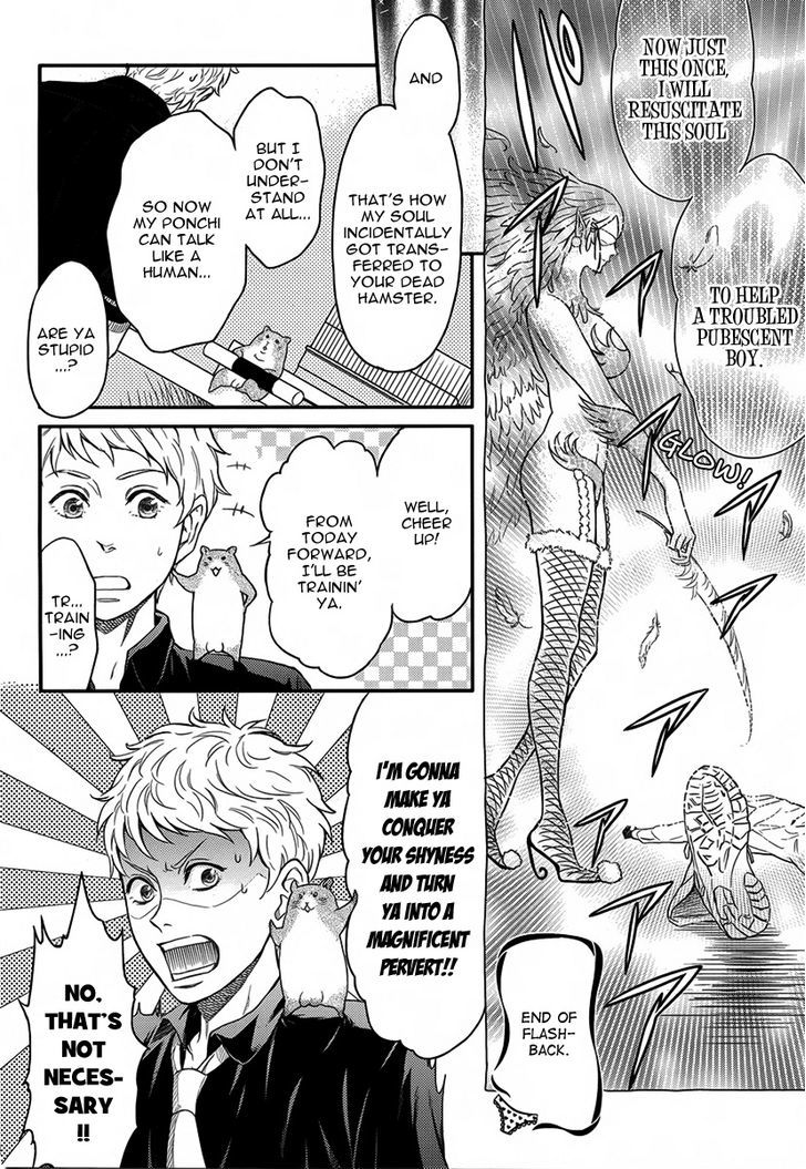 Sekimen Danshi Makkasa Chapter 0 page 15 - Chapter 0