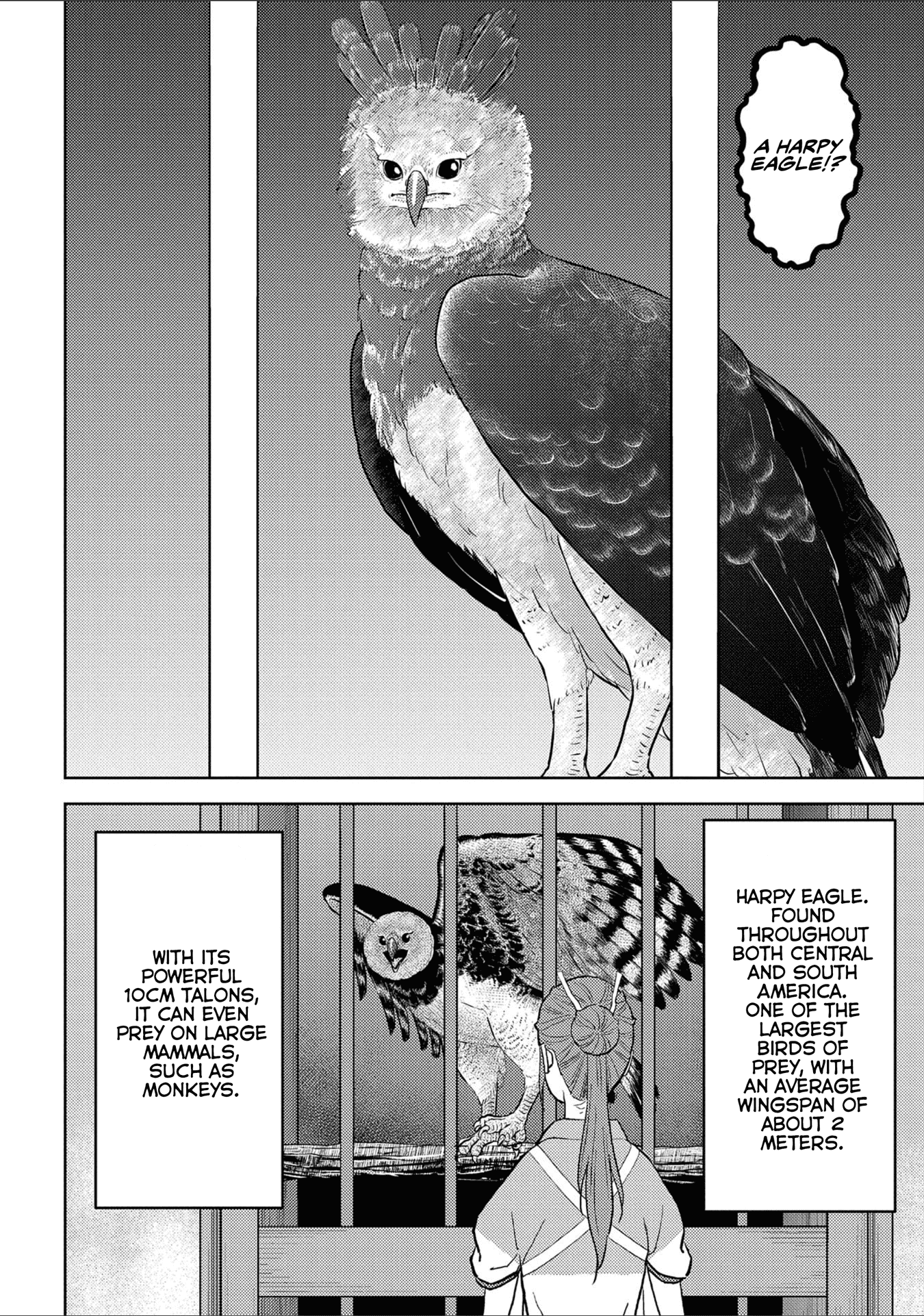Sengoku Komachi Kurou Tan! Chapter 38 page 23 - Chapter 38: Hospitality