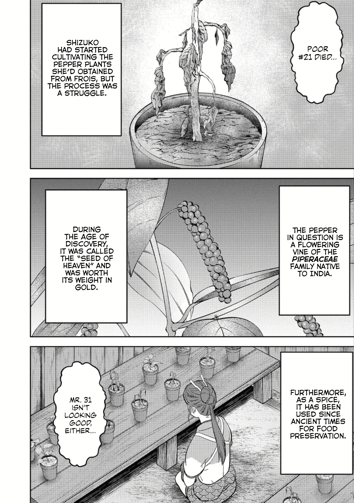 Sengoku Komachi Kurou Tan! Chapter 44 page 3 - Chapter 44