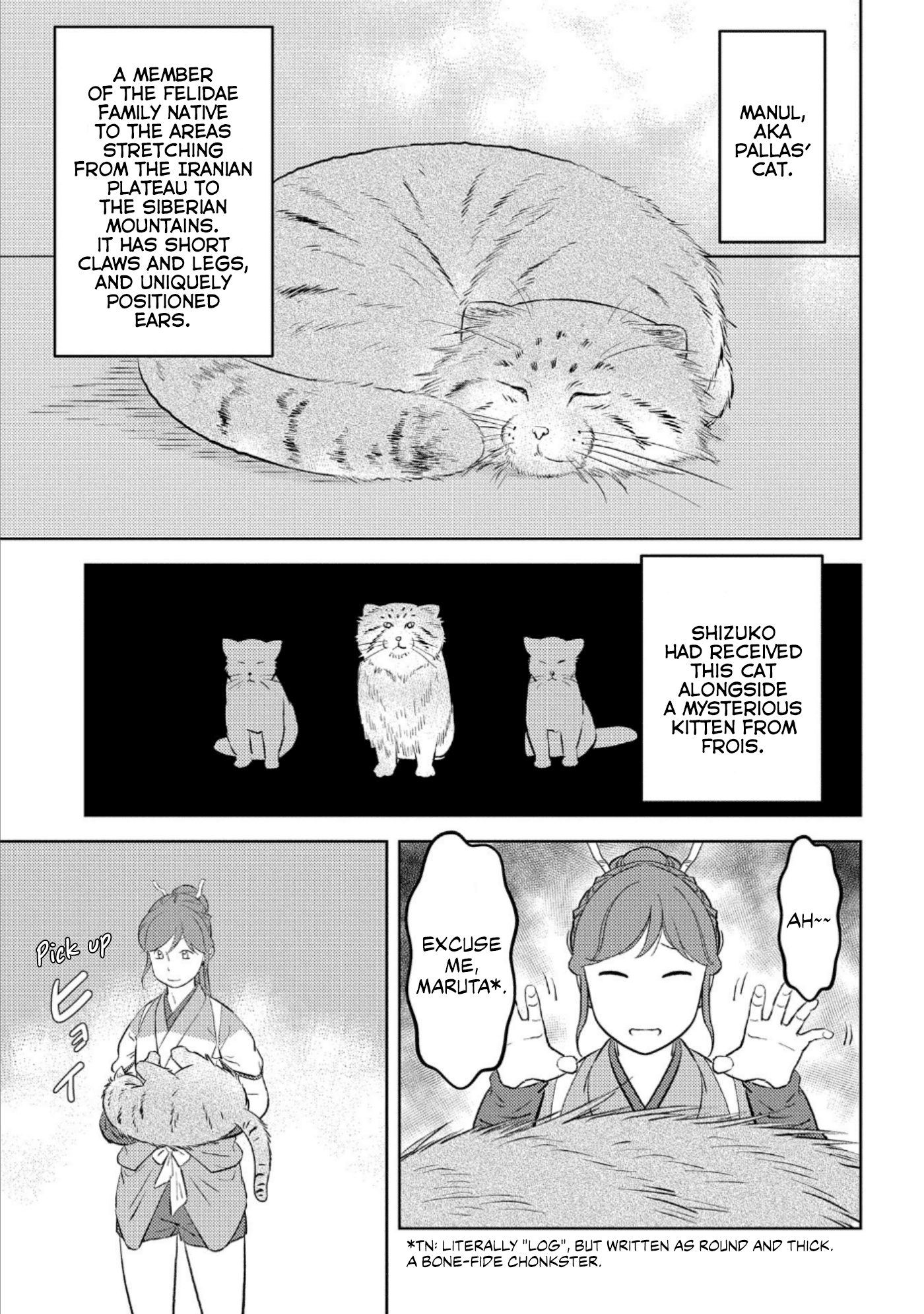 Sengoku Komachi Kurou Tan! Chapter 57 page 13 - Chapter 57: Bliss