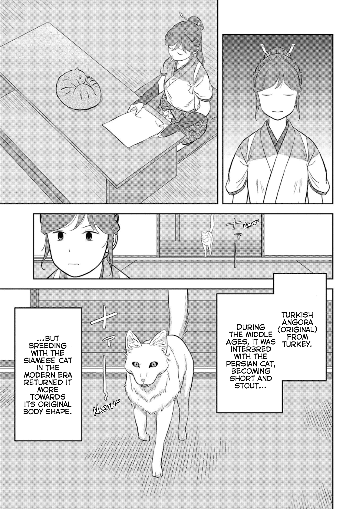 Sengoku Komachi Kurou Tan! Chapter 57 page 15 - Chapter 57: Bliss