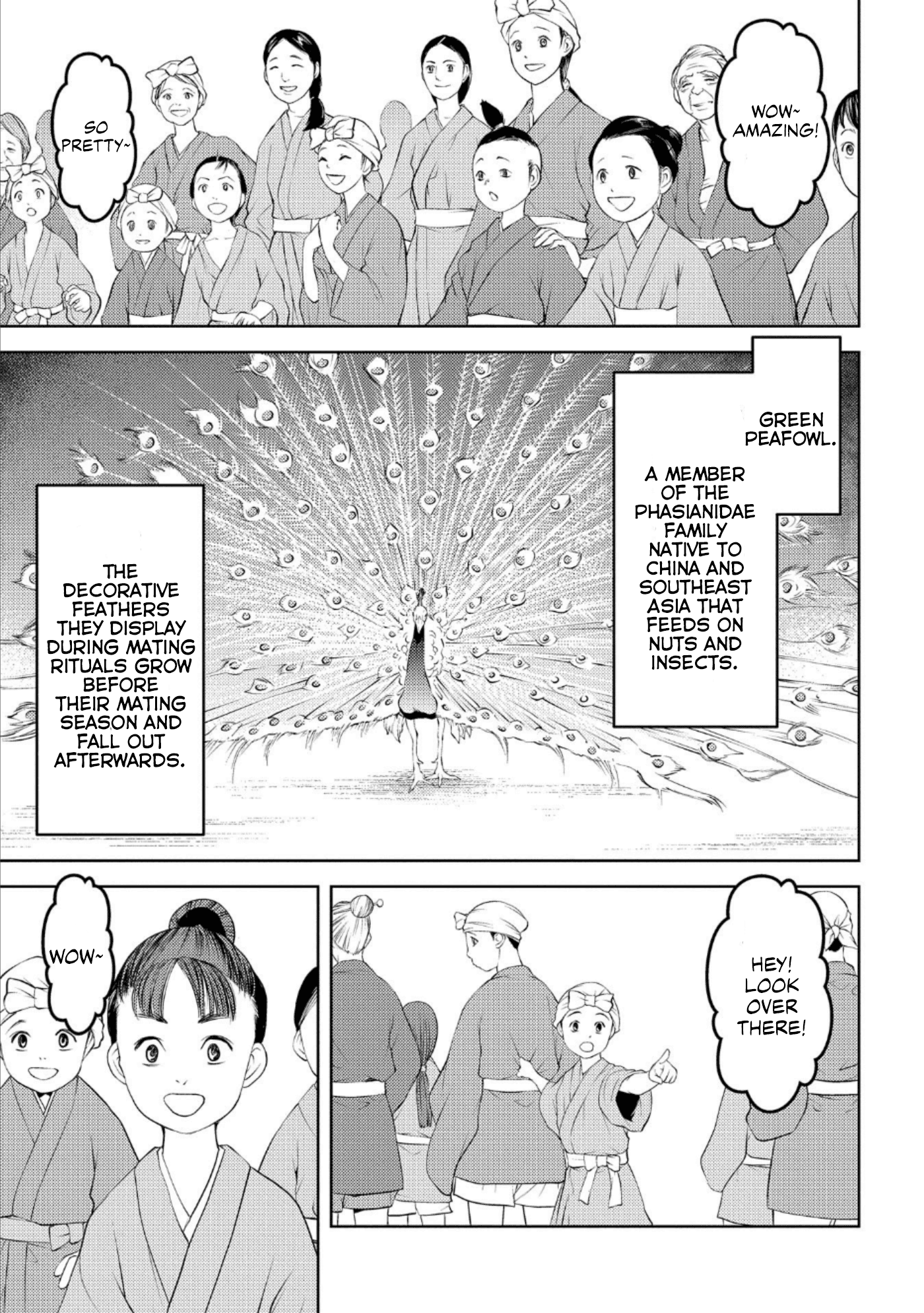 Sengoku Komachi Kurou Tan! Chapter 57 page 5 - Chapter 57: Bliss